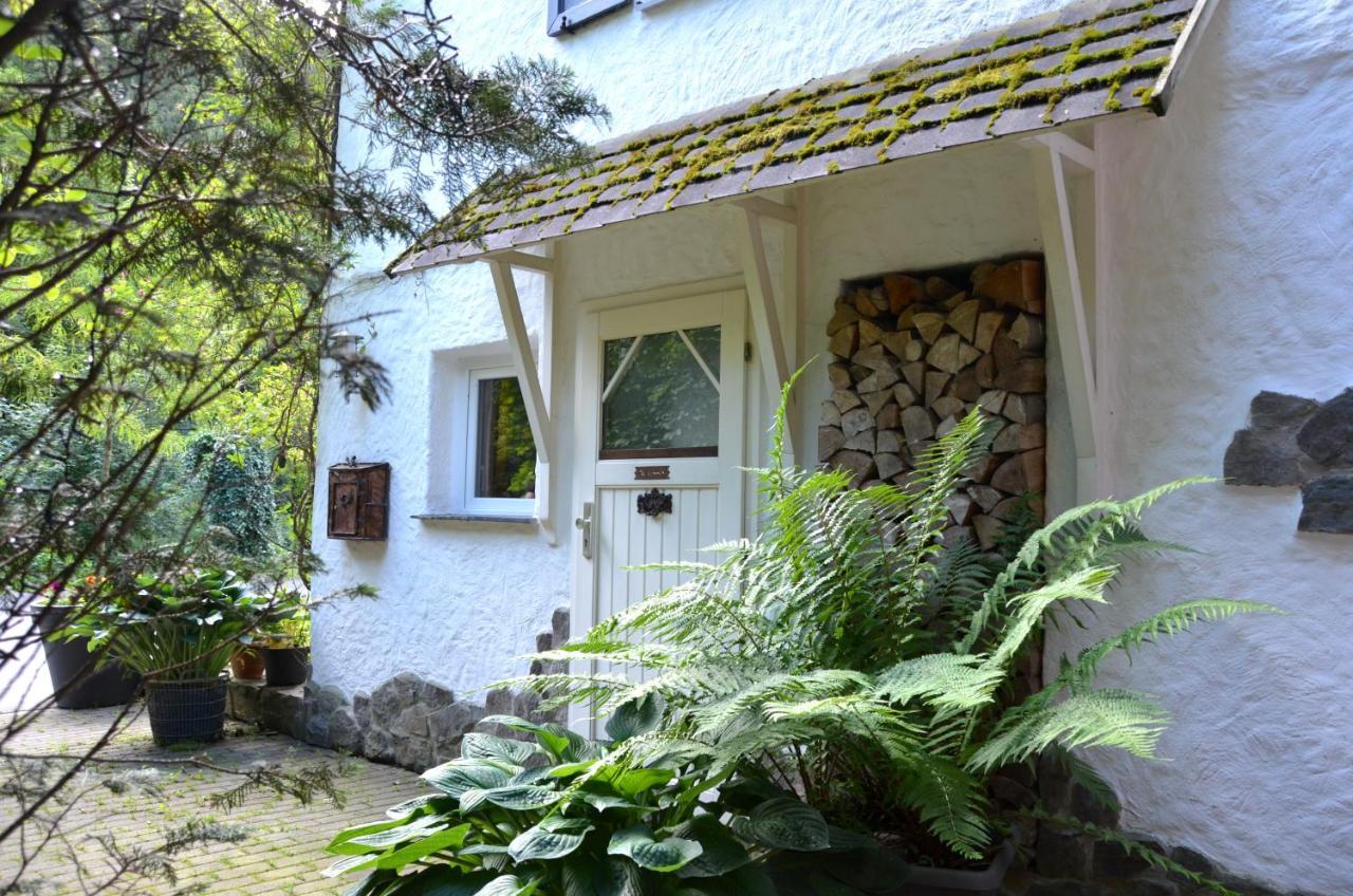 Birgits Willingen Apartment Willingen (Upland)