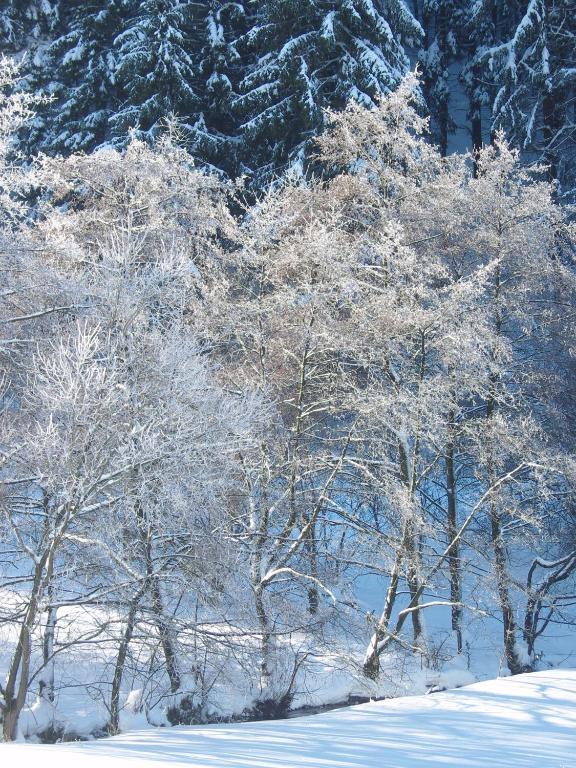Apartment Birgits Willingen *